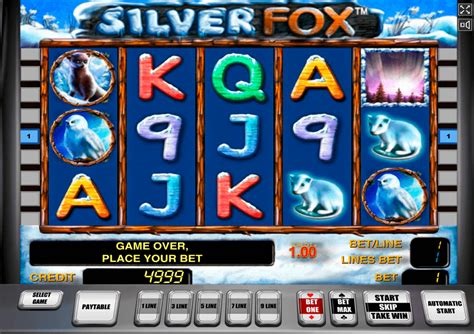 silver fox casino